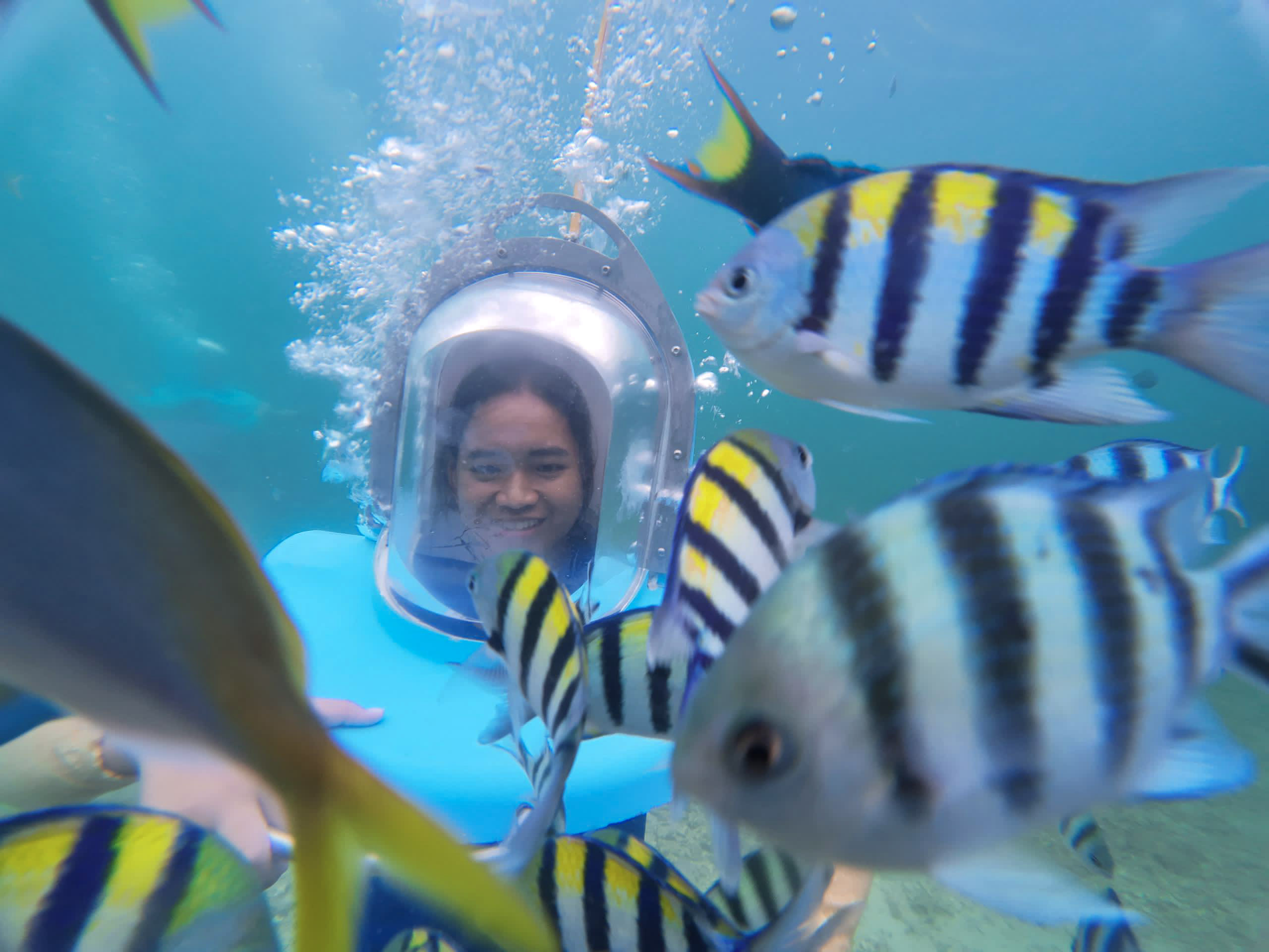 whatsapp image 2026 02 21 at 1