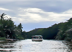 THH kawa kawa river cruise_09